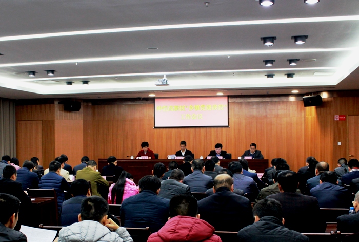 我区召开全区“乡镇党建战役”工作会议