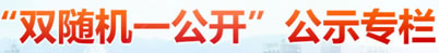 双随机