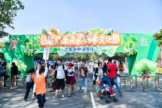 广东：全域播绿 绿美大地——盘点2019释放改革红利 提升发展质量