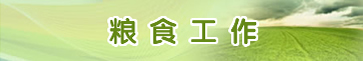 粮食工作